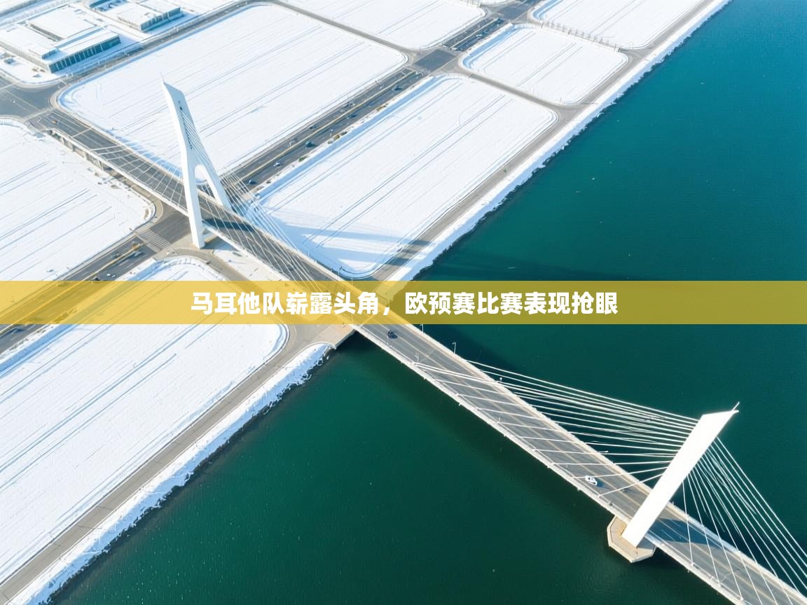 马耳他队崭露头角，欧预赛比赛表现抢眼  第1张