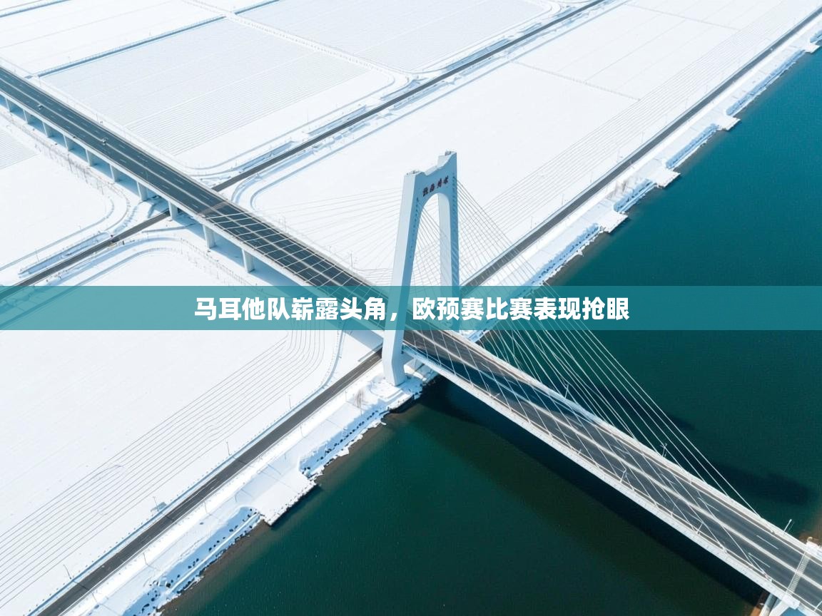 马耳他队崭露头角，欧预赛比赛表现抢眼  第2张