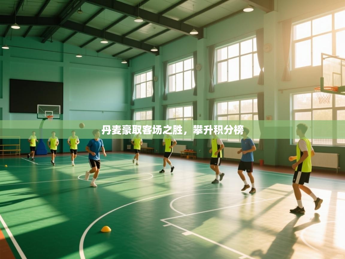 丹麦豪取客场之胜,攀升积分榜 第2张