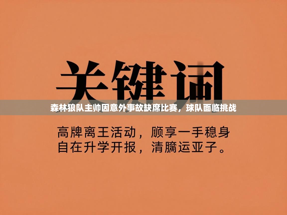 森林狼队主帅因意外事故缺席比赛,球队面临挑战 第1张