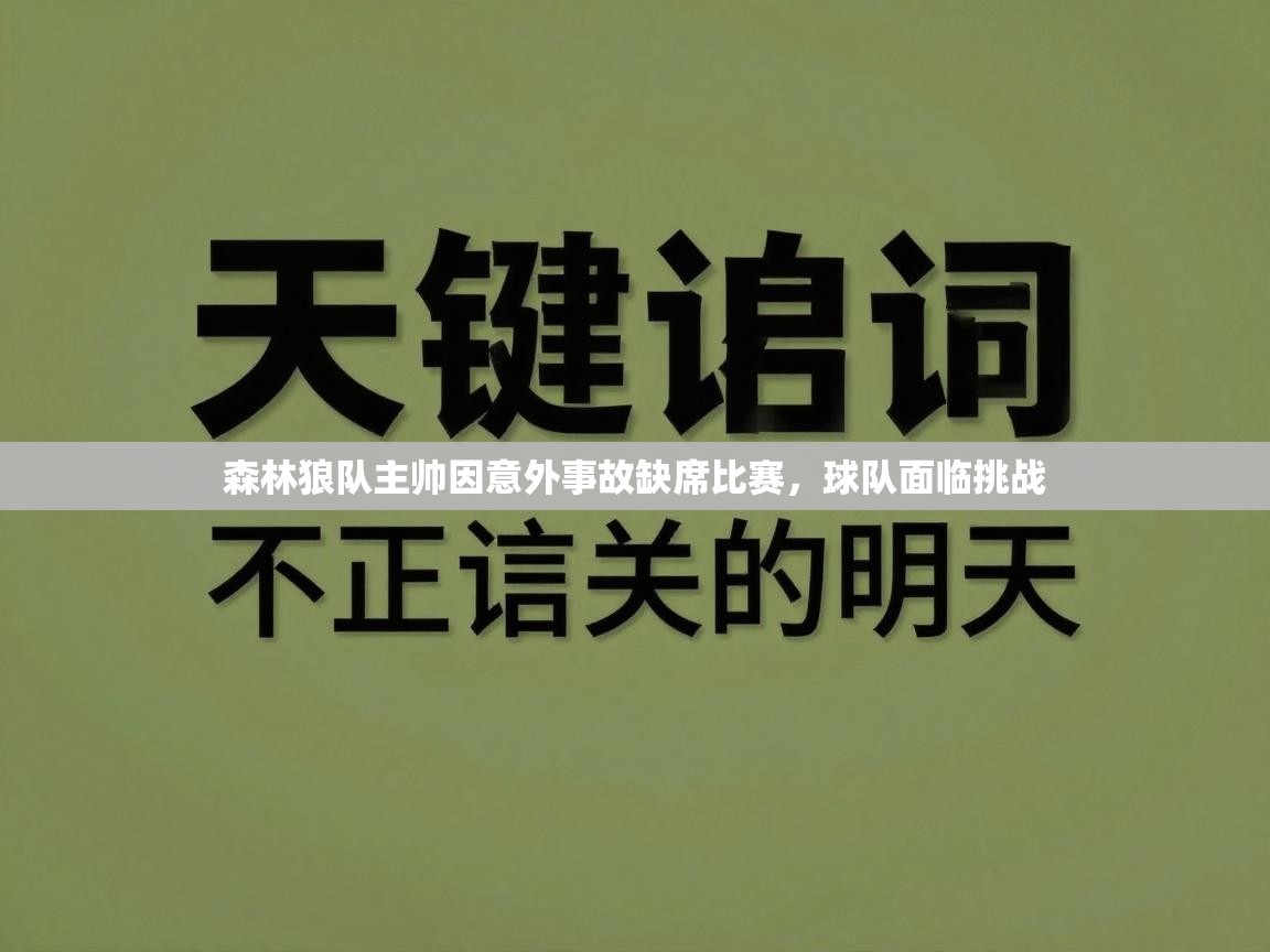 森林狼队主帅因意外事故缺席比赛,球队面临挑战 第2张