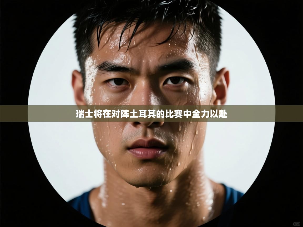 瑞士将在对阵土耳其的比赛中全力以赴  第1张