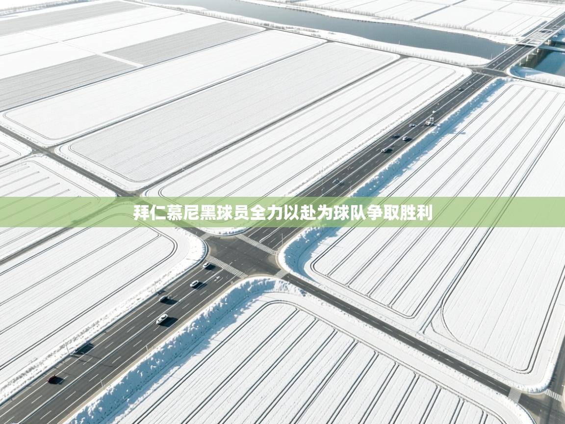 拜仁慕尼黑球员全力以赴为球队争取胜利  第1张