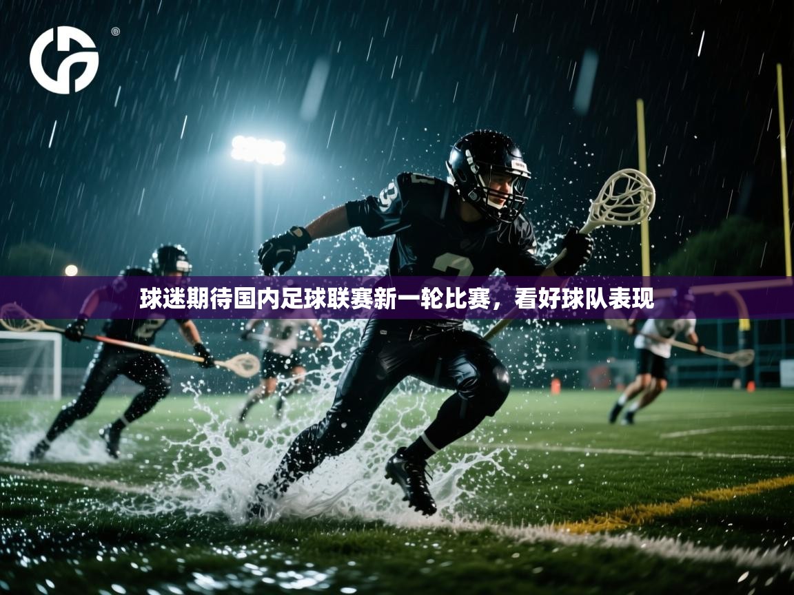 球迷期待国内足球联赛新一轮比赛，看好球队表现  第2张