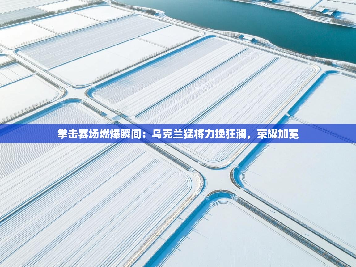 拳击赛场燃爆瞬间：乌克兰猛将力挽狂澜，荣耀加冕  第2张