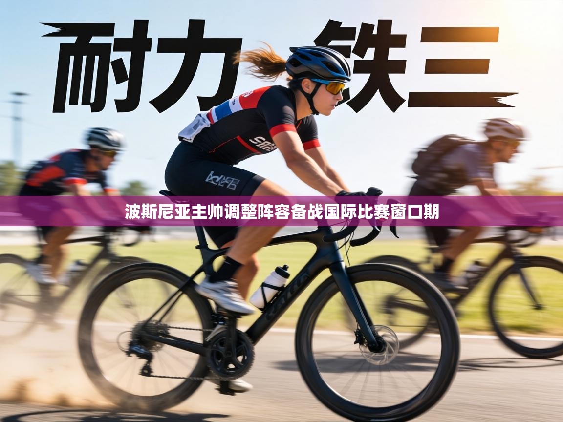 波斯尼亚主帅调整阵容备战国际比赛窗口期  第1张