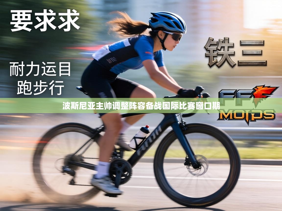 波斯尼亚主帅调整阵容备战国际比赛窗口期  第2张