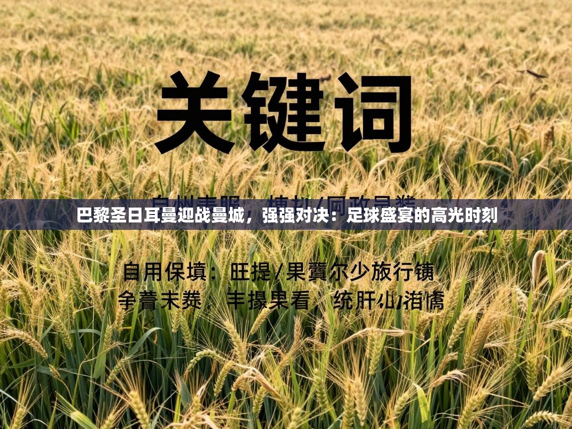 巴黎圣日耳曼迎战曼城，强强对决：足球盛宴的高光时刻  第2张